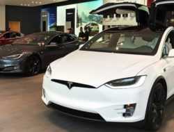 Tesla добавила своим электрокарам сторожевой режим
