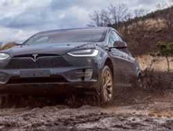 Видео: Tesla Model X загнали в глубокую грязь