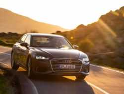 Audi отзовет 120 автомобилей в России
