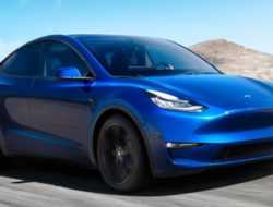 Названа дата начала производство нового кроссовера Tesla