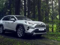 Toyota рассказала о новом RAV4 для России