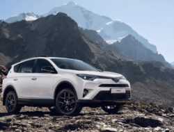 Снижены цены на Toyota C-HR, RAV4, Land Cruiser Prado и другие модели
