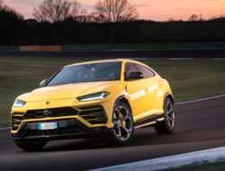 Российские продажи Lamborghini выросли вчетверо