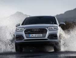 В России отзывают кроссоверы Audi сразу по двум причинам
