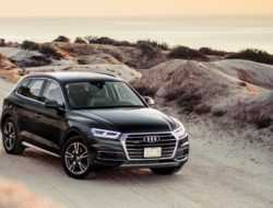 Audi отзывает более 6,5 тысячи кроссоверов Q5