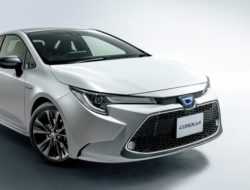 Toyota Corolla сменила поколение и уменьшилась в размерах