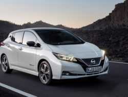 В России продажи электрокаров растут пять месяцев подряд