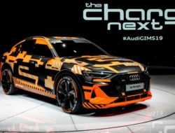 Audi анонсировала премьеру нового компактного электрокроссовера