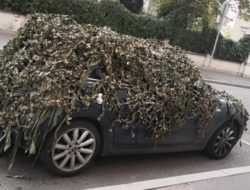 Водители придумали новый способ ухода от оплаты парковки