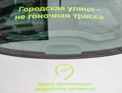 Названа основная причина смертельных ДТП в Москве
