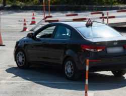 Срок для пересдачи экзаменов в ГИБДД могут увеличить