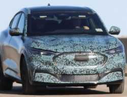 Новый кроссовер Ford в стиле Mustang сфотографировали с серийным кузовом