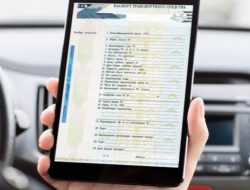 В России перестали выдавать бумажные ПТС