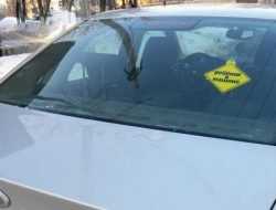 Беременные и дети: ГИБДД разрешила новый знак