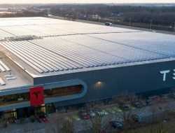 Гигафабрика Tesla в Германии будет выпускать до полумиллиона машин в год