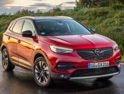 В Кремле прокомментировали возвращение Opel в Россию