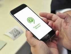 В Москве назвали самый популярный способ оплаты парковки