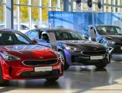 Более 25 тысяч водителей в России получили виртуальные госномера