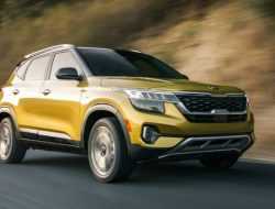 Kia объявит цены и комплектации кроссовера Seltos весной 2020 года