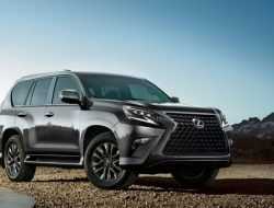 Lexus оставит цены на новые автомобили в России на уровне 2019 года