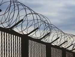 Россия закрыла автомобильное сообщение с Китаем из-за коронавируса