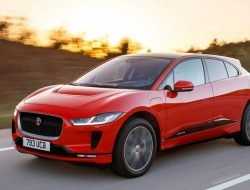 В России назвали самые популярные электрокары 2019 года