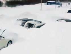 Видео: десятки машин попали в снежную ловушку