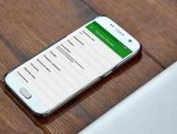 Названы самые распространенные ошибки при оплате парковки в Москве