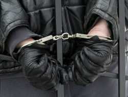 Полицейские задержали мошенников, похитивших 300 автомобилей