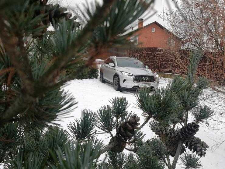 Расточительный мажор: провокационный тест-драйв Infiniti QX50
