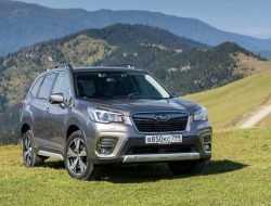 Subaru отзовет Forester в России