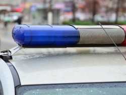 «Выбили стекло, арестовали». Нарушитель с Рублевки получил 7 суток