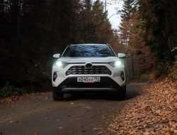 Toyota и Lexus остановили сразу пять заводов из-за резкого снижения спроса