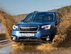 Чем расстроит и порадует подержанный Subaru Forester