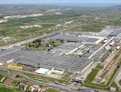 FIAT возобновил производство автомобилей