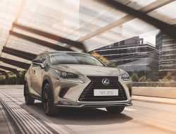 Lexus NX в России переродился в новой старой спецверсии