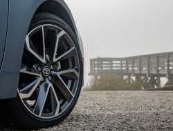 Несколько моделей Toyota для России сильно «поумнеют»