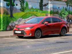 Венчик творения: длительный тест-драйв Toyota Corolla