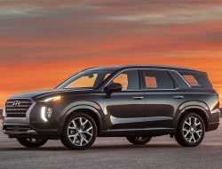 Полный космос: «орбитальные опции» Hyundai Palisade