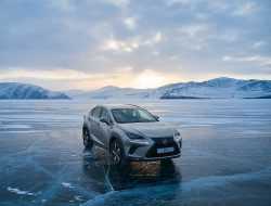 Благородство хулигана: тест-драйв обновленного Lexus NX300