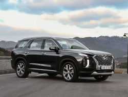 Новые Hyundai Palisade и Elantra можно купить в России только через интернет