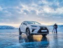 За что автовладельцы любят и ненавидят Lexus NX