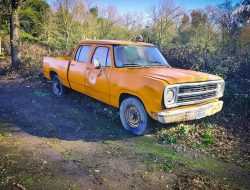 Найденную в поле коллекцию из старых Dodge и Mercury пустят с молотка