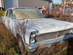 В США обнаружили заброшенную коллекцию автомобилей