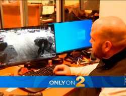 Массовый угон машин из автосалона попал на видео