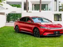 Девять последних новинок из Китая, которые удивили. Фото