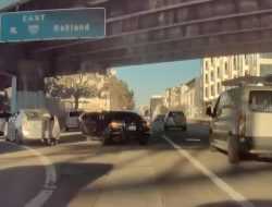 Камера электрокара Tesla засняла ограбление Toyota Prius. Видео