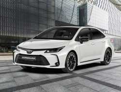 Toyota привезла в Россию спортивные версии двух моделей