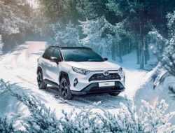 В России назвали самые популярные японские автомобили