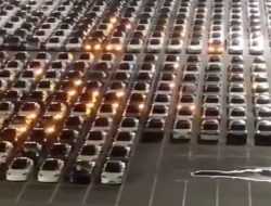 Обновление прошивки на Tesla сняли на видео. Выглядит как световое шоу!